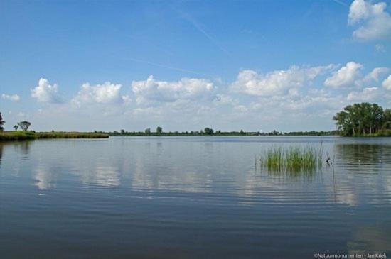 Froukje'S B&B Woerdense Verlaat 외부 사진